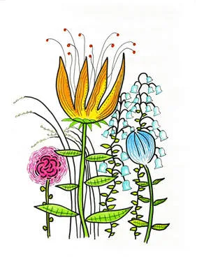 Picture